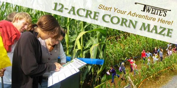 Tweite's Family Farm - Southeast Minnesota - Fall Fun. Corn Maze. Pumpkin Patch. Wagon Rides. Pick Your Own Pumpkin. Kid Fall Activities. Fall Food. Byron, Rochester, Kasson, Oronoco, Pine Island, Cannon Falls, Owatonna, Minneapolis, St. Paul