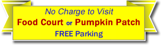 Tweite's Family Farm Byron MN - Corn Maze - Pumpkin Patch - Family Fun