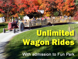 Tweite's Family Farm Byron MN - Corn Maze - Pumpkin Patch - Family Fun
